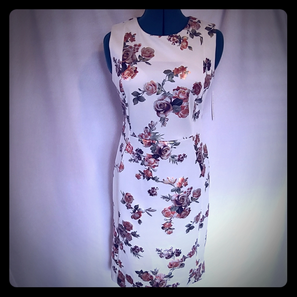 Shelby & Palmer Sheath  Dress
